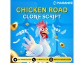 recreate-viral-success-with-plurances-chicken-road-clone-solution-small-0
