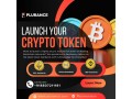 plurance-where-innovation-meets-token-development-excellence-small-0