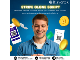 How Does Stripe Clone Script Ensure a Profitable Fintech Venture?