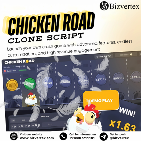 maximize-roi-with-chicken-road-clone-script-and-lifetime-support-big-0