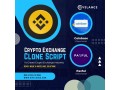 low-cost-customizable-cryptocurrency-clone-script-small-0