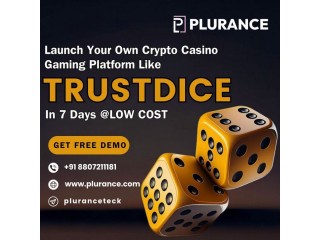 Start Your Crypto Casino Journey with Crypto Casino Game Script – Free Consultation Today