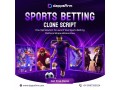 sports-betting-clone-script-development-solution-get-free-consultation-small-0
