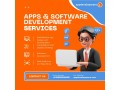 app-developer-pro-custom-web-mobile-software-development-company-small-0