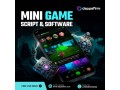 advanced-mini-game-script-solutions-book-free-consultation-small-0