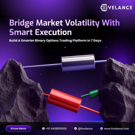 looking-for-advanced-binary-option-trading-software-development-company-big-0