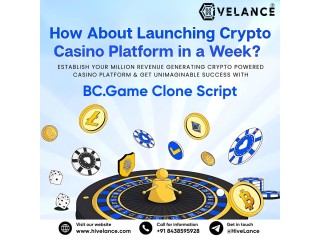 What Makes BC.Game Clone Script Ideal for Investors in iGaming?
