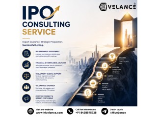 How Do IPO Consultants Help Companies Meet Regulatory and Investor Expectations?