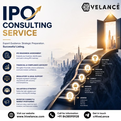 how-do-ipo-consultants-help-companies-meet-regulatory-and-investor-expectations-big-0
