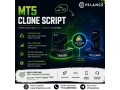 why-choose-a-metatrader-clone-script-for-brokerage-platform-development-small-0