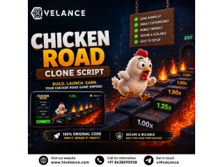 What Features Should You Expect from a Professional Chicken Road Clone Software?